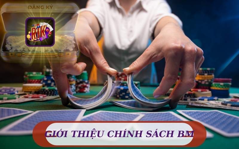 GIỚI THIỆU CHÍNH SÁCH BẢO MẬT RIKVIP