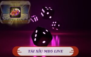 RIKVIP CHÍNH THỨC RA MẮT TÀI XỈU MD5 LIVE